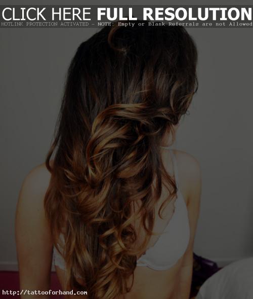 Two Tone brown ombre hair 2013