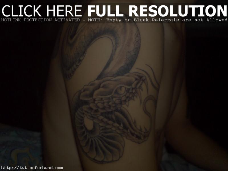 Snake Arm Tattoos Pictures and Images